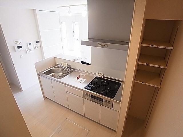 カーネリアン その他21