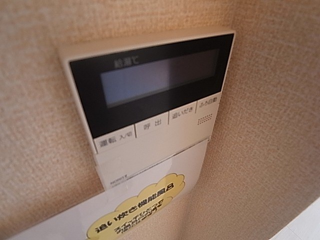 カーネリアン その他23