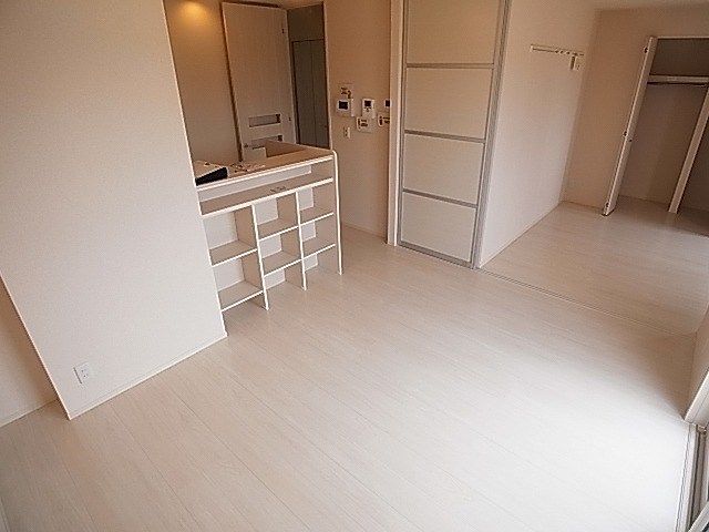 カーネリアン その他25