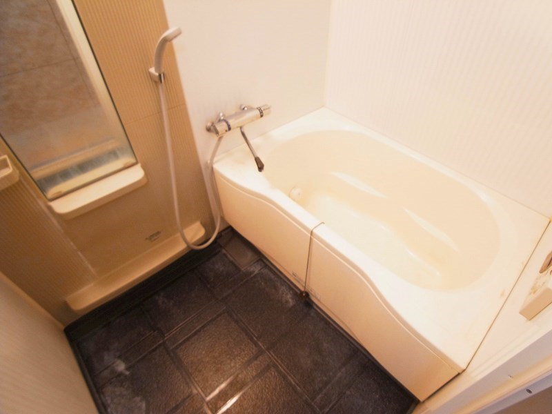 東和リバーサイド野田 風呂画像