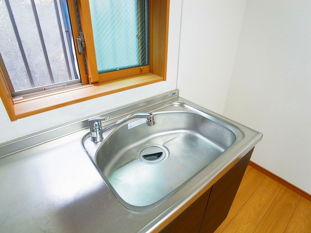 リビオン・タートル その他28