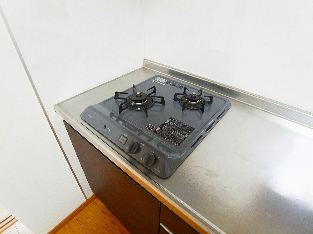 リビオン・タートル その他29