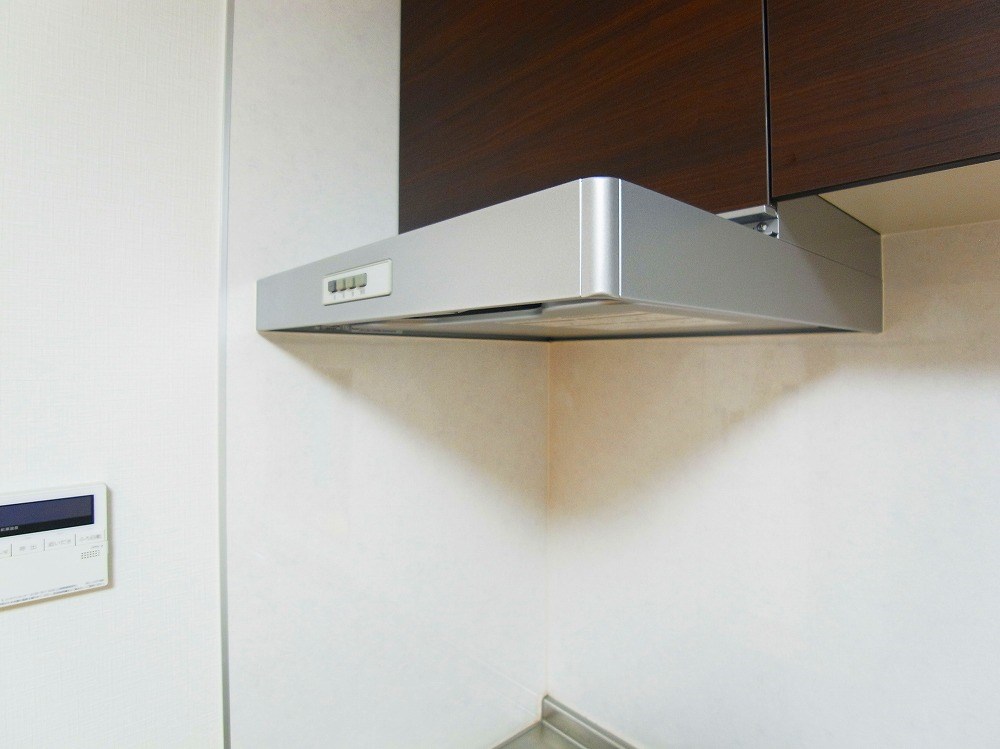 リビオン・タートル その他30