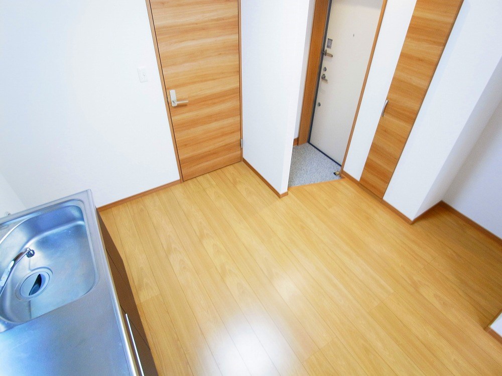 リビオン・タートル その他37