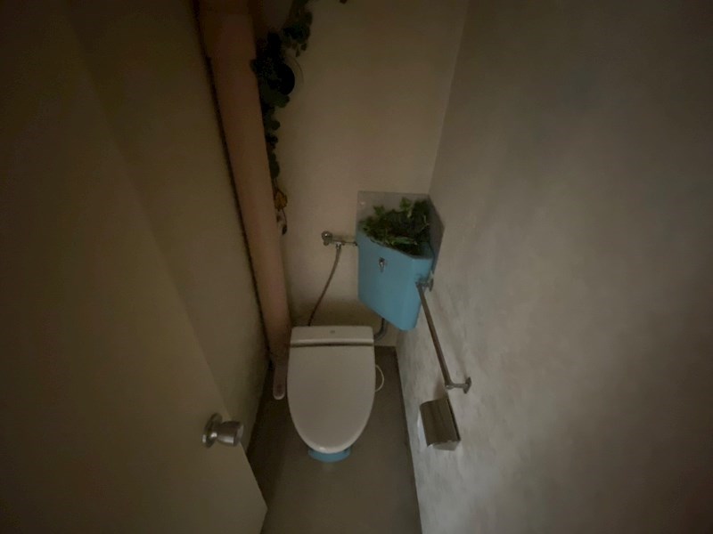 柏タウンハイツ その他1