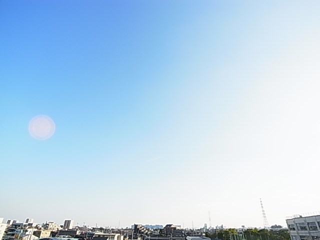 ソフィアコート その他7