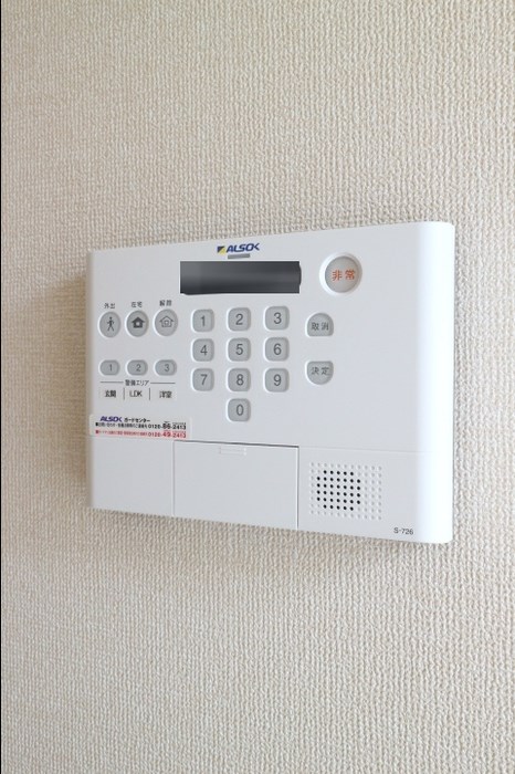 ルアナ その他4