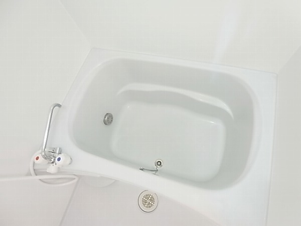 アムール その他17