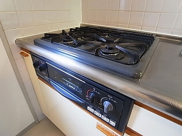 シティハウス柏 その他13