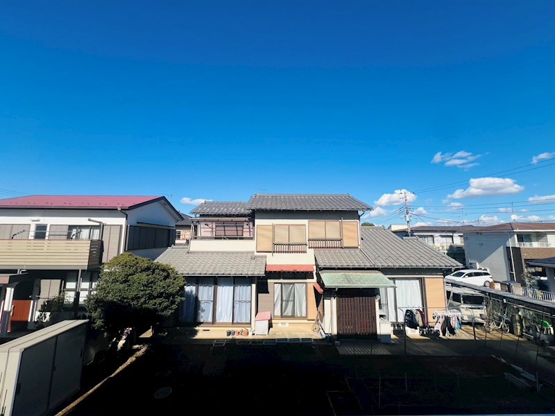 子犬と春風のダイアリー その他5