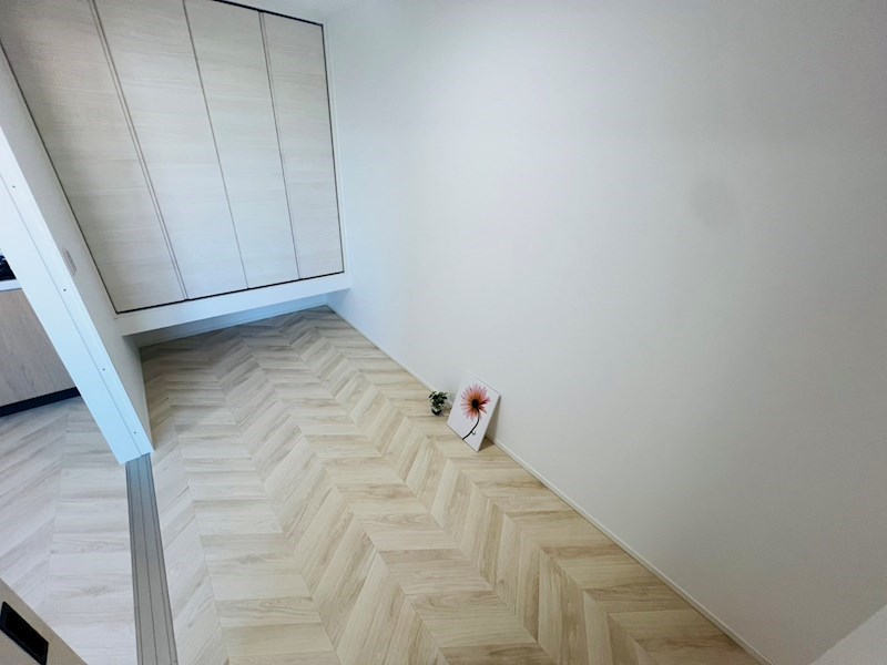 子犬と春風のダイアリー その他29