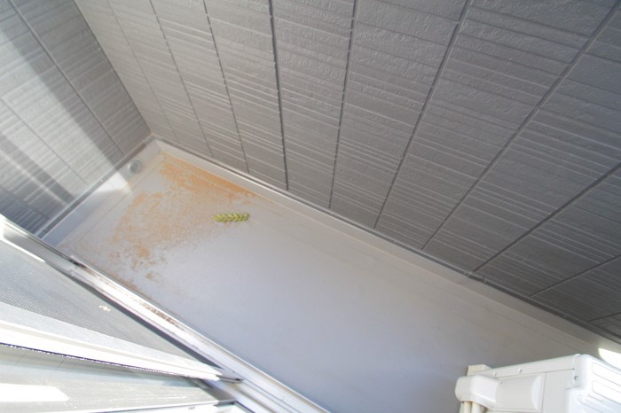 ＬＵＣＩＡ その他11