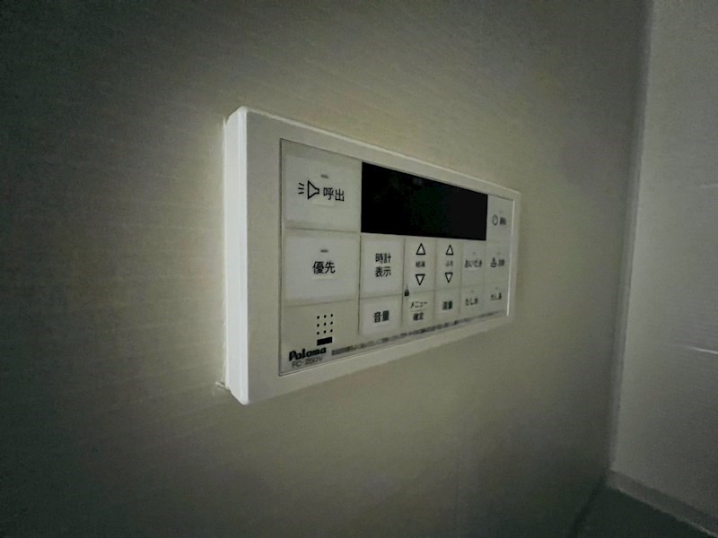 ルチル　Ⅵ その他20