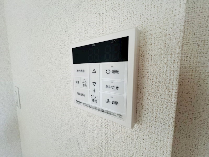ルチル　Ⅵ その他25