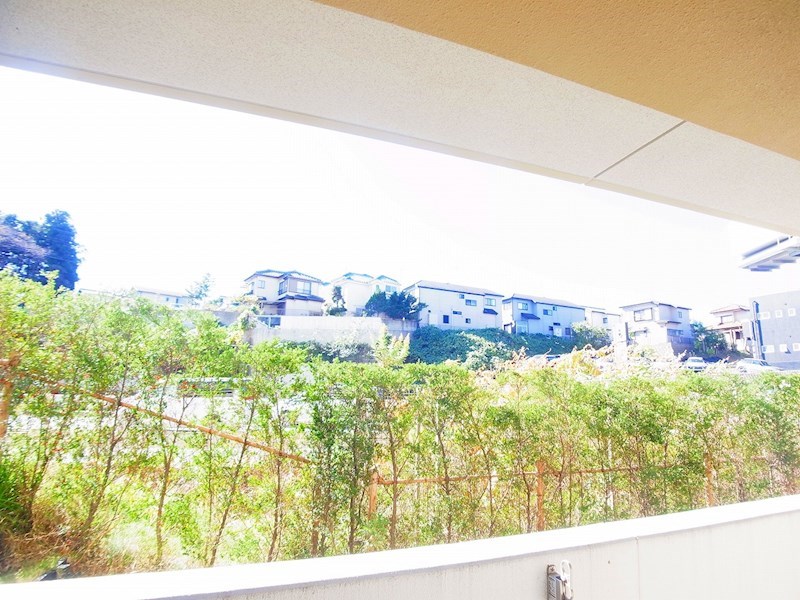 クレストフォルム柏サウスウイング その他14