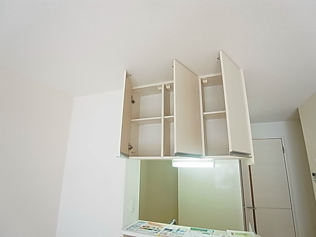 ティアラ新鎌 その他8