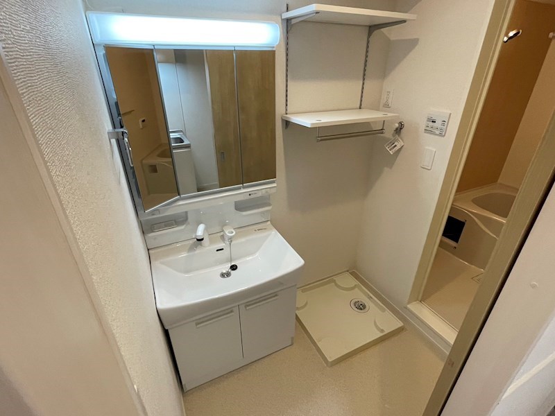 シャイニー その他2