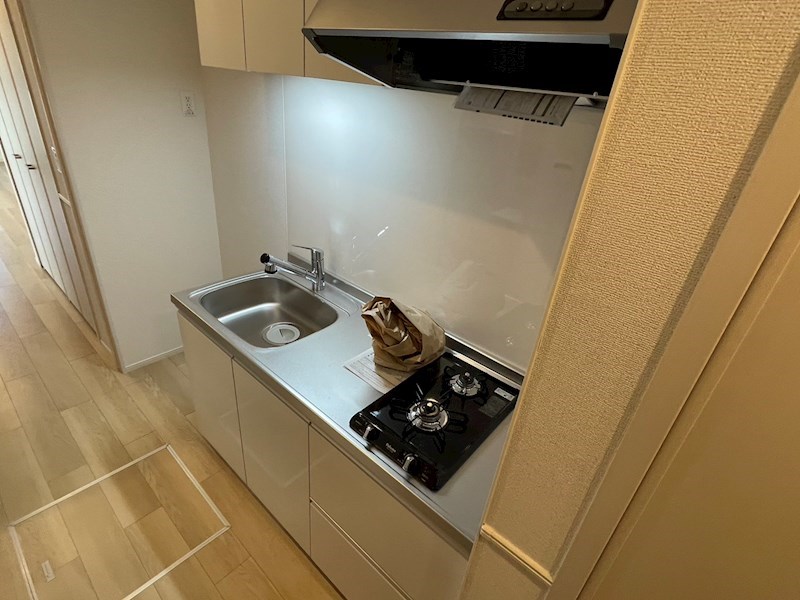 シャイニー その他16