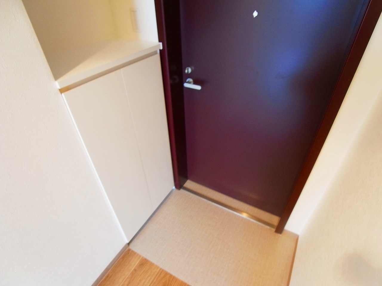 シャイン南流山 玄関