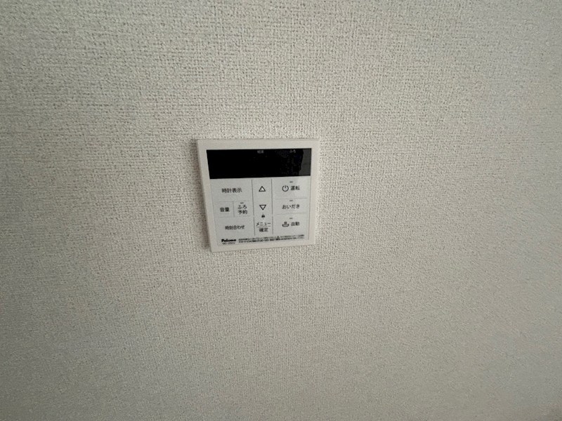 ローレル（Ｌａｕｒｅｌ） その他15