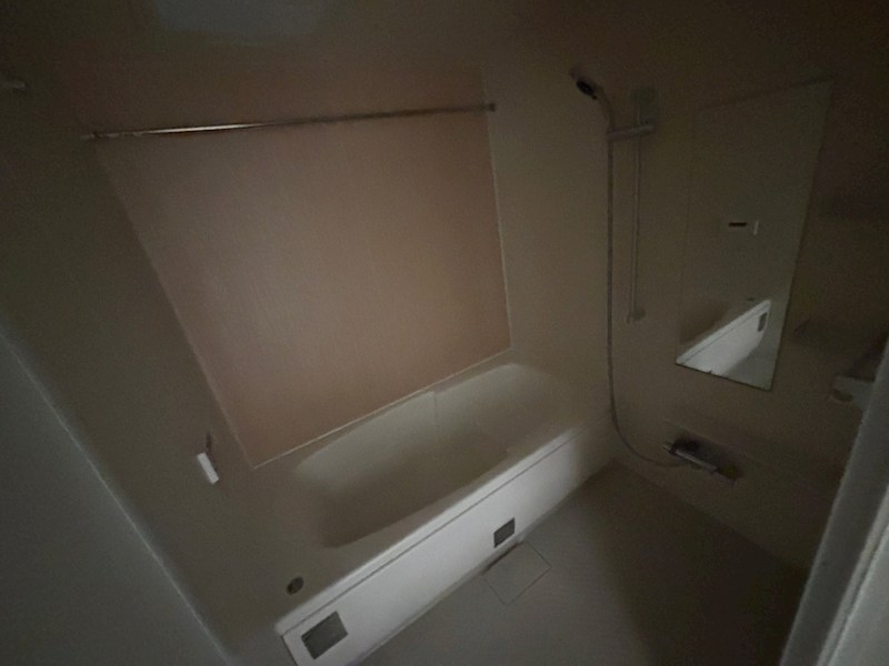 ローレル（Ｌａｕｒｅｌ） その他21