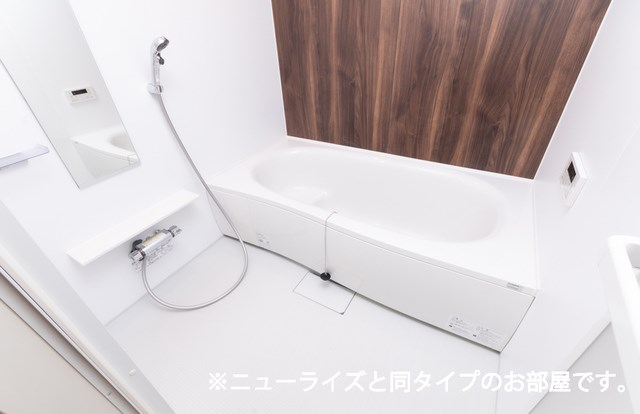 ジ・アピオン 風呂画像