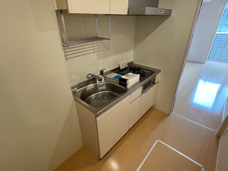 ステラコートⅡ その他16