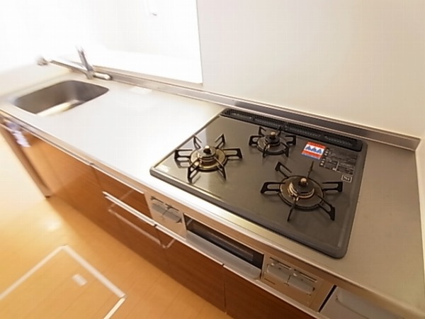 アルバ その他9