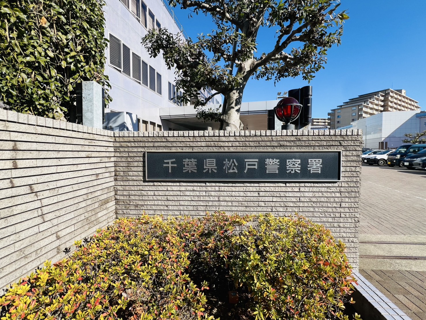 サンクレイドル松戸弐番館 周辺画像6