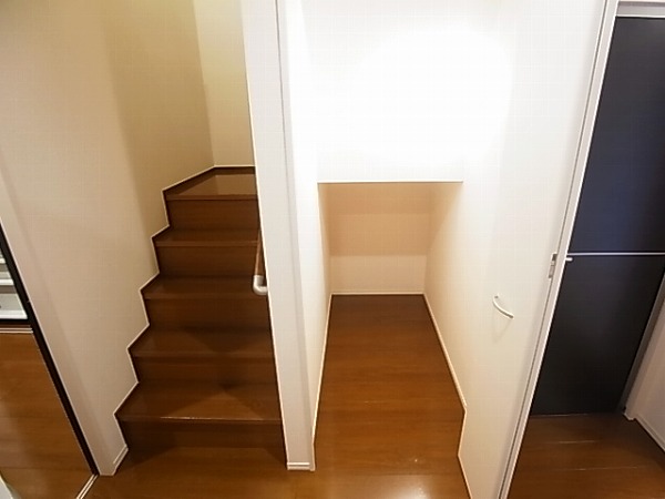 プルメリア その他3