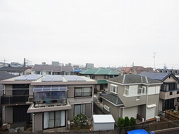 プルメリア その他5