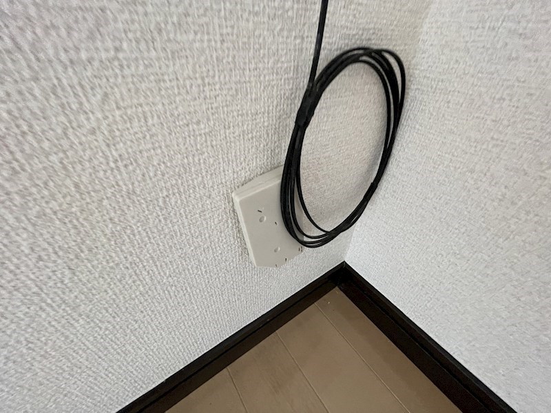 アムールブリアント その他