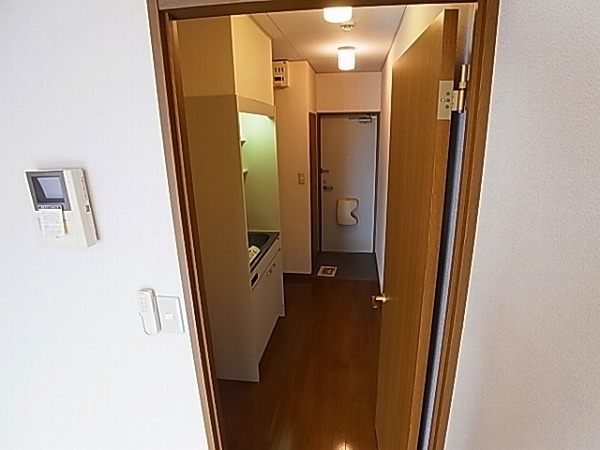 アムール est vert その他10