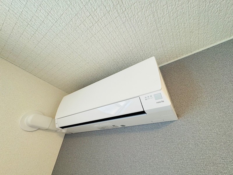 セレーナ その他5