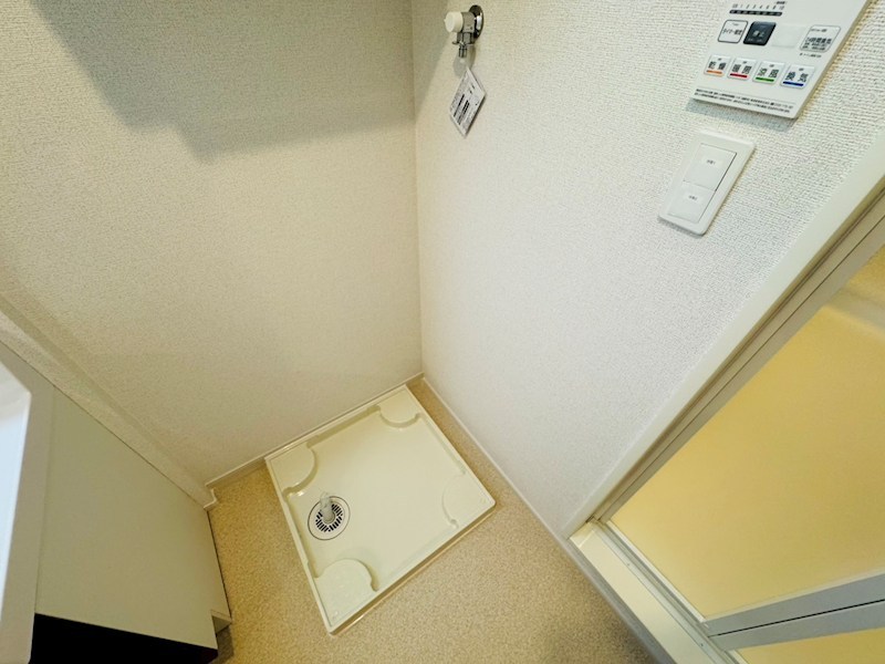 セレーナ その他24