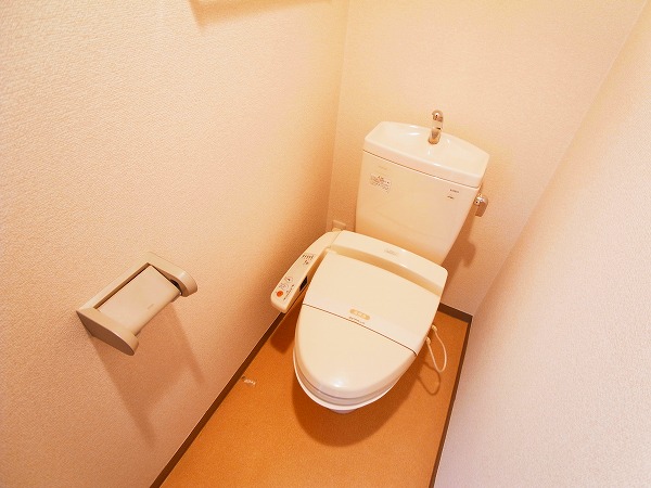 グレイス その他1