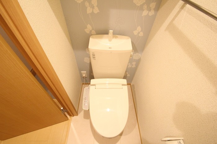 ブルーバード その他1