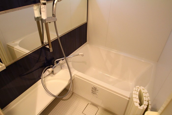 ブルーバード その他12