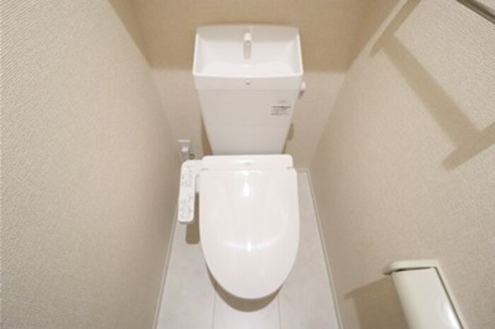 オモト その他1