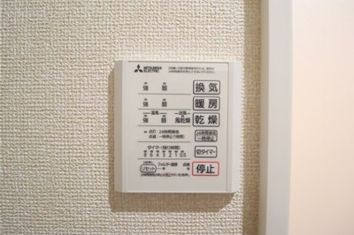 オモト その他5