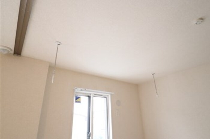 オモト その他6