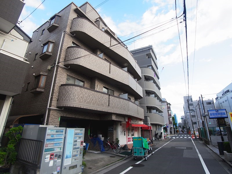 オルザエ絹 その他外観4