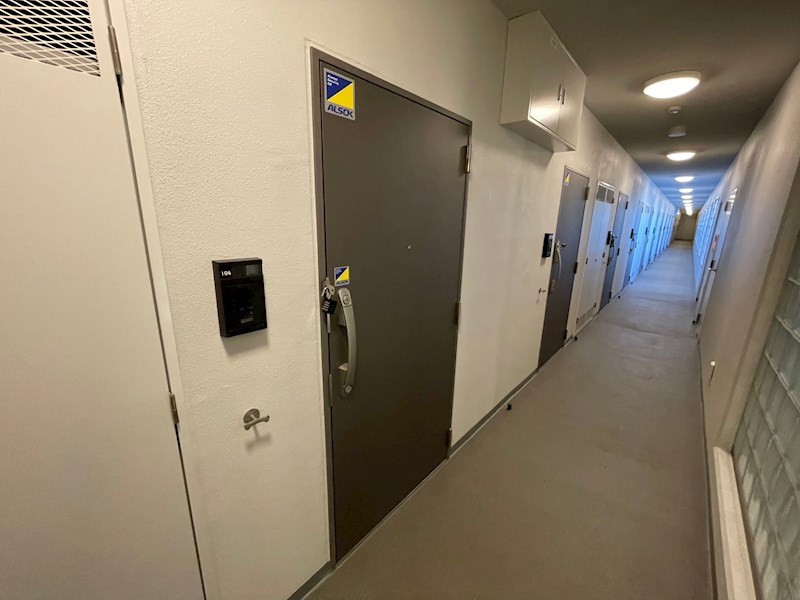 スアヴィス舎人 その他21