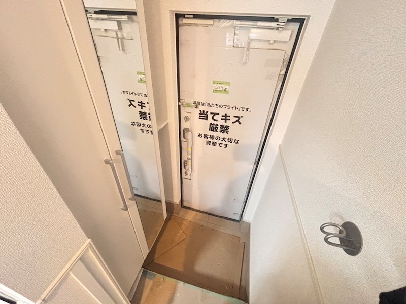 チェリー　クローバー その他11