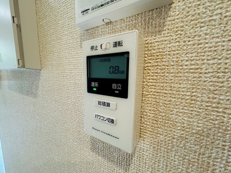 コニフェールⅠ その他17