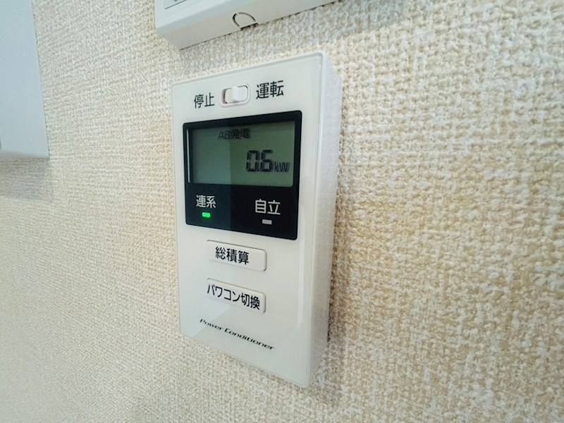 コニフェールⅠ その他4