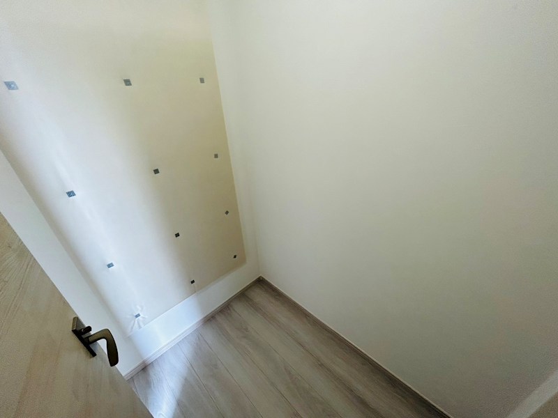 SKリデンテⅣ その他6