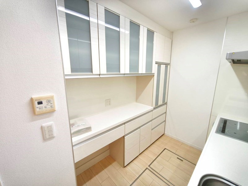 アムール　ワン その他10