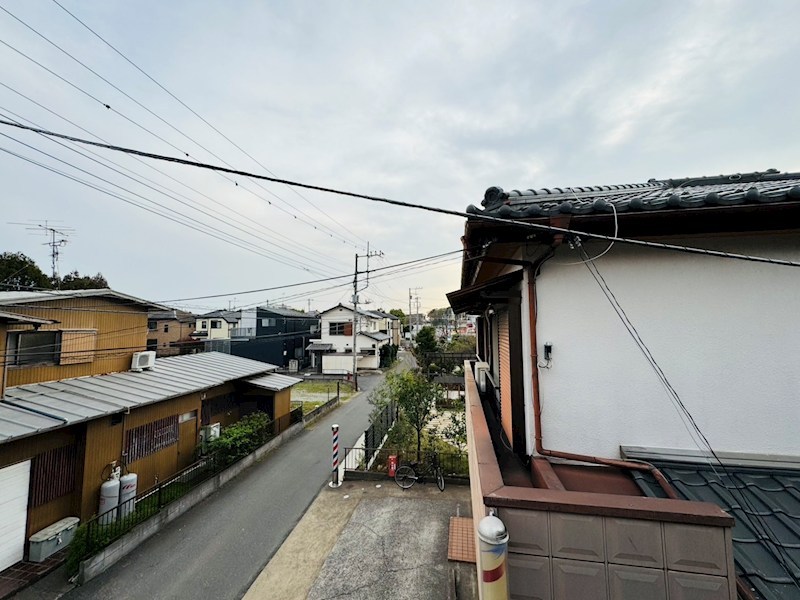 オモト その他6