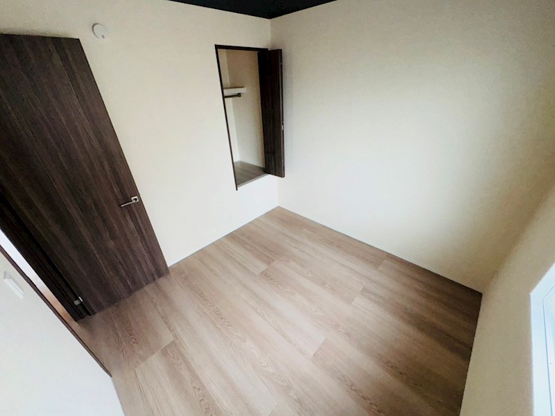 オモト その他33